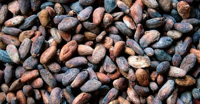 Aztec Cacao Currency: When Chocolate Beans Were Money (and Counterfeited)