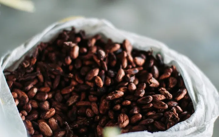 How Much Does It Cost to Make Chocolate at Home?