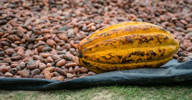Best Melanger for Chocolate Making (2026 Guide)