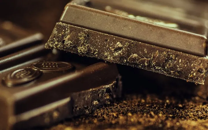 Best Vegan Chocolate Bars: Dairy-Free Picks for 2026