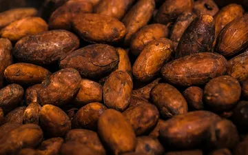 Behmor 2000AB for Chocolate: Complete Roasting Guide