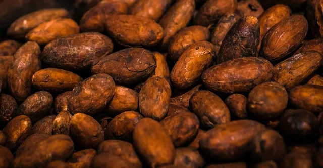 Behmor 2000AB for Chocolate: Complete Roasting Guide