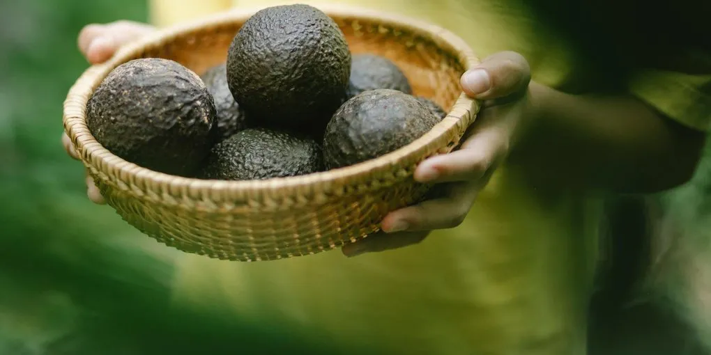 12 Ways to Use Cacao Nibs (Beyond Snacking)