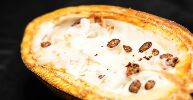 Cacao vs Cocoa: What's the Real Difference?