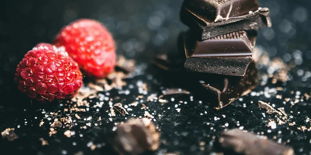 Complete Bean-to-Bar Equipment Guide for Beginners