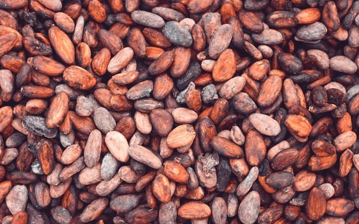How Is Cocoa Butter Made? From Cocoa Bean to Pressed Fat