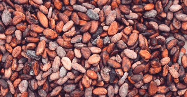 How Is Cocoa Butter Made? From Cocoa Bean to Pressed Fat