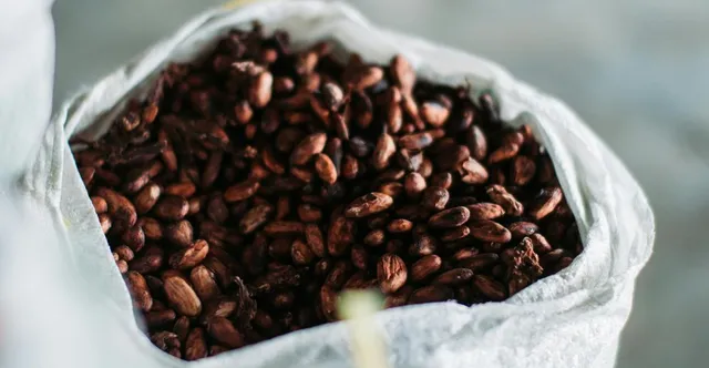 How to Crack and Winnow Cacao Beans