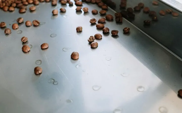 How to Roast Cacao Beans at Home