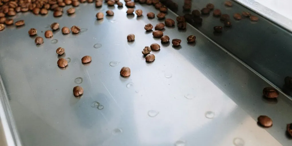 How to Roast Cacao Beans at Home