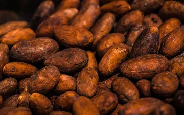 Lab-Grown Chocolate: Cell-Cultured Cacao and the Future of Cocoa