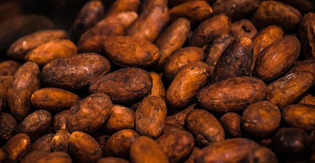 Lab-Grown Chocolate: Cell-Cultured Cacao and the Future of Cocoa