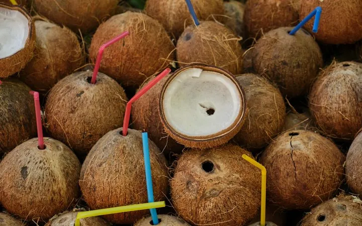 Madagascar Cacao: Why Every Bar Tastes Like Berries