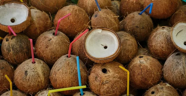 Madagascar Cacao: Why Every Bar Tastes Like Berries