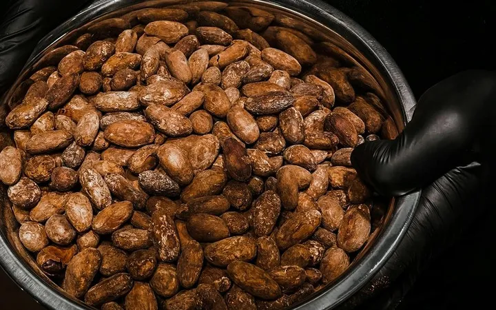 How the Maillard Reaction Builds Chocolate Flavor