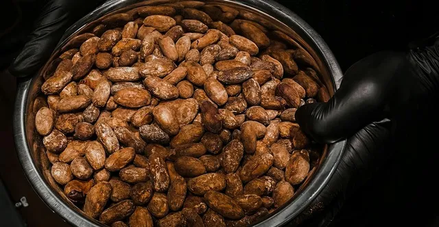 How the Maillard Reaction Builds Chocolate Flavor