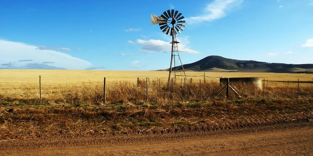 Tanzania Cacao: Honey, Melon & the Kokoa Kamili Model
