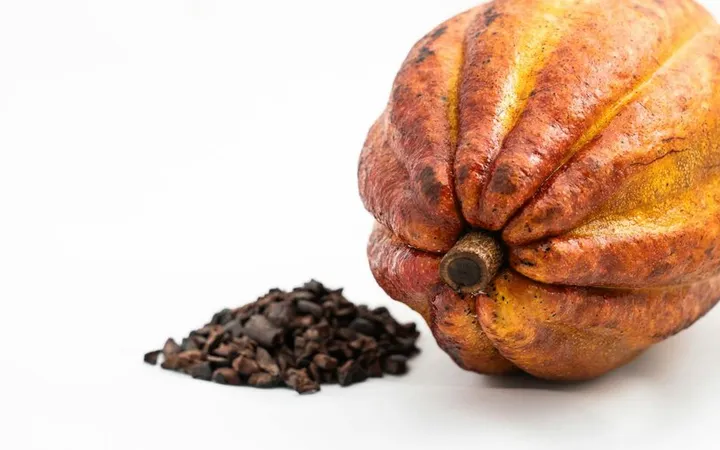 Venezuela Cacao: Chuao, Porcelana & the Criollo Legacy